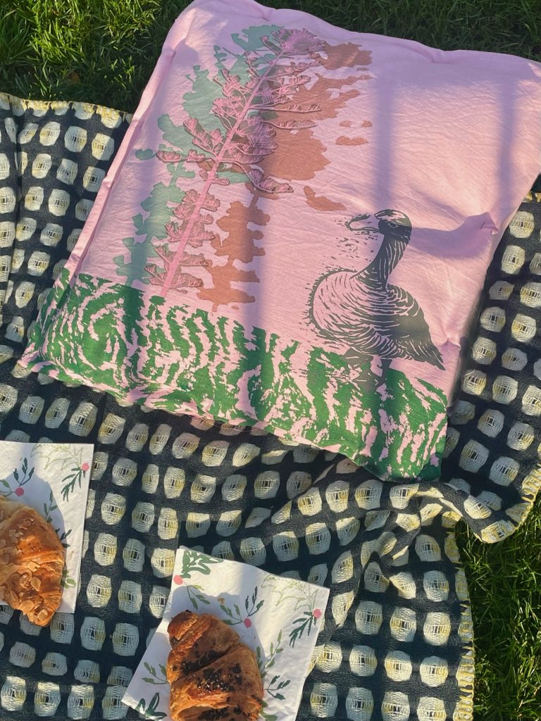 Fairytales Visualisation of a cushion using the duck print, laid out on a picnic blanket