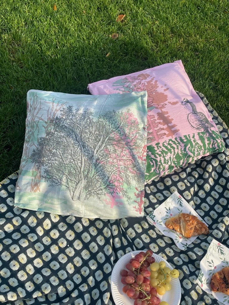 Fairytales two printed cushions on a blanket, ready for a picnic with grapes and croissants